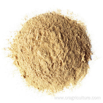 Certified Chinese Organic Garlic Powder Bulk